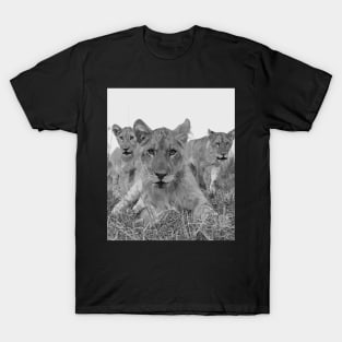 Zambia lions T-Shirt